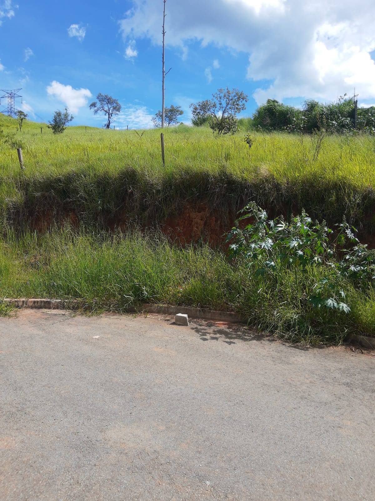 #LM1365 - Área para Venda em Santana de Parnaíba - SP