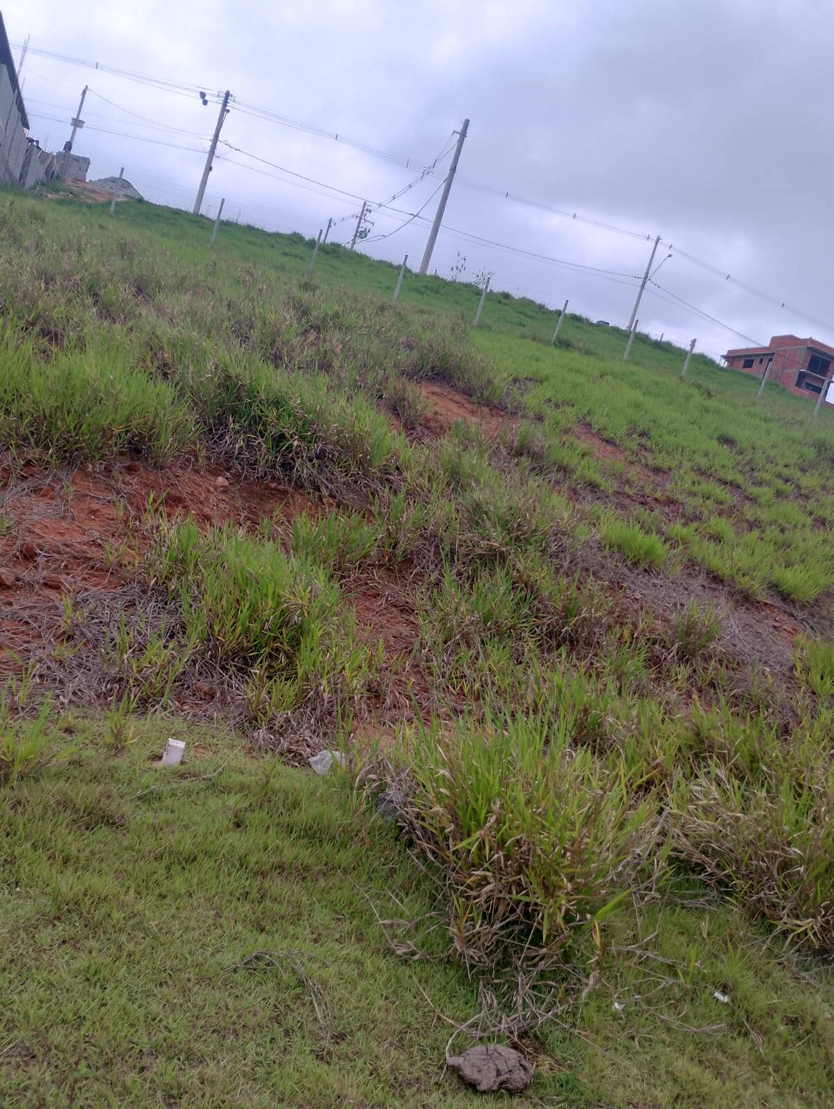 #LM1401 - Área para Venda em Cotia - SP