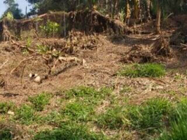 #CMI945 - Terreno em condomínio para Venda em Cotia - SP - 3