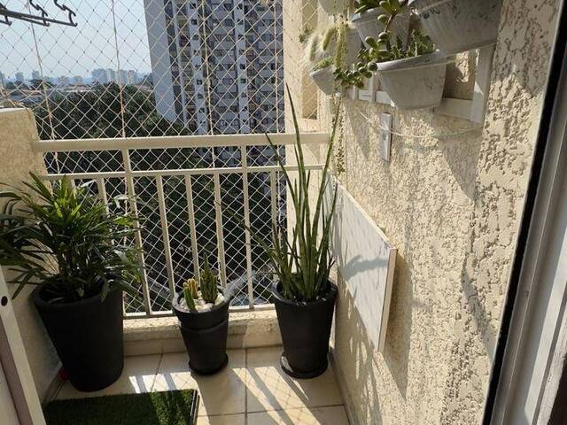 Apartamento para Venda em São Paulo - 5
