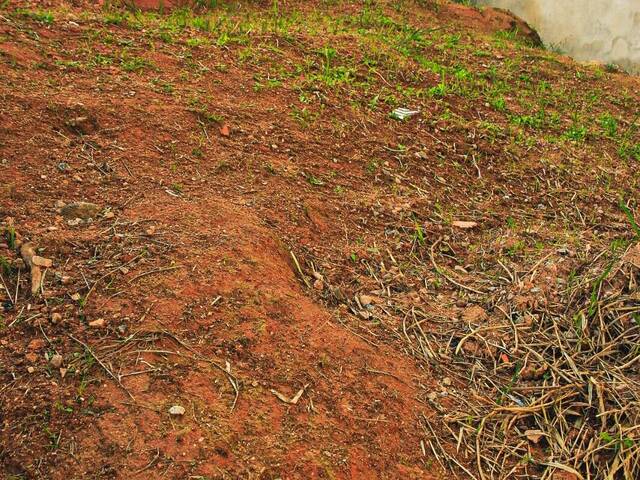 Área para Venda em Barueri - 4